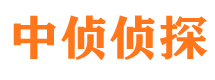 隆德市私家侦探